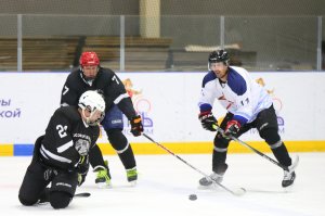 20.05.2025. Золотое медали кубка Шефа