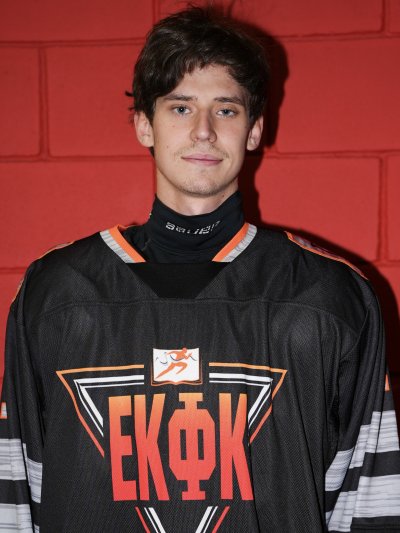 Колмагоров  Владислав