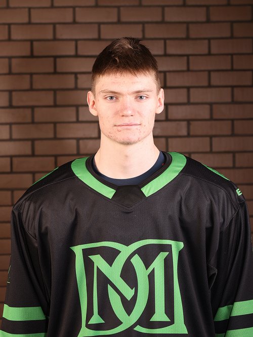 Борисов  Артем