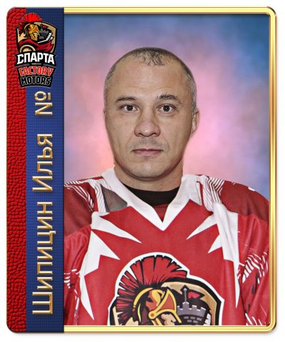 Шипицин  Илья