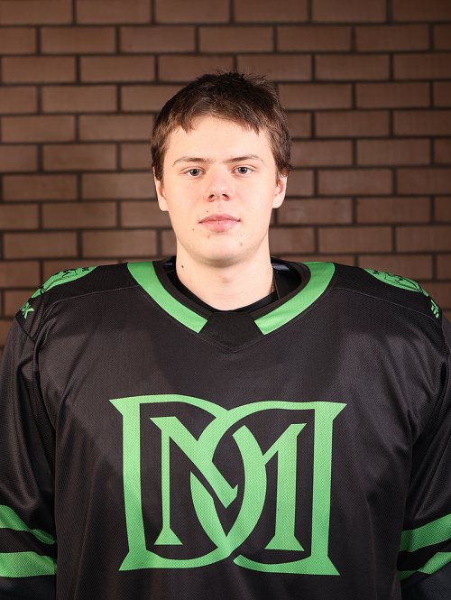 Нестеров  Павел