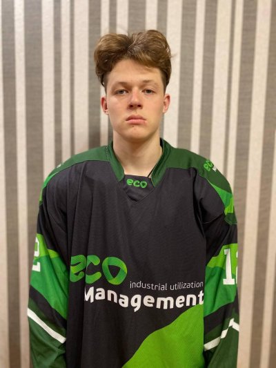 Челноков  Артем