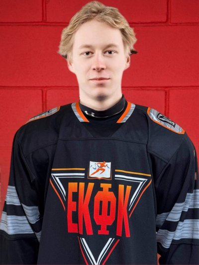 Мелкомуков  Дмитрий