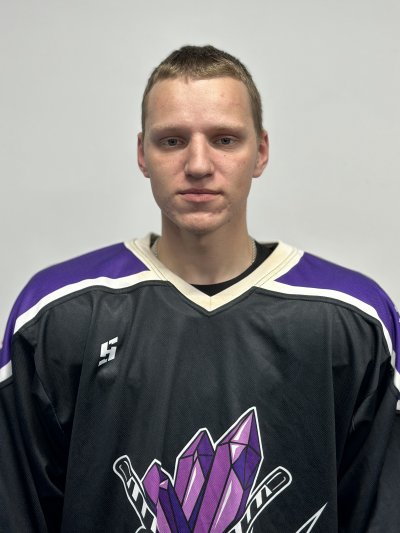 Емельянов  Даниил