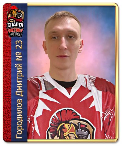 Городилов  Дмитрий