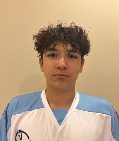 Повзнер  Дмитрий