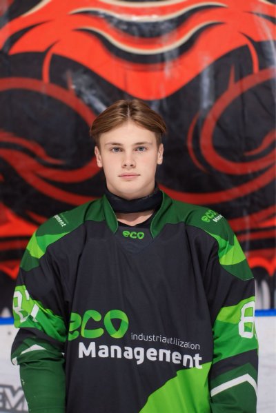 Амосов  Степан  Филиппович