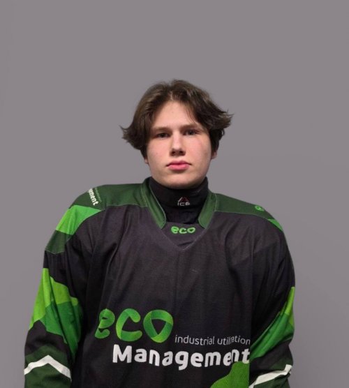 Ионычев  Денис  Игоревич