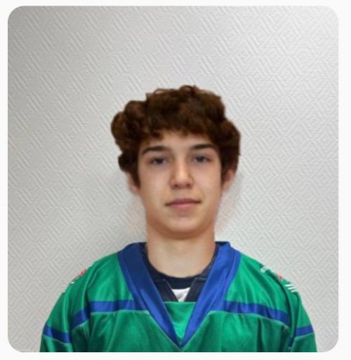 Рыбин  Илья  Александрович