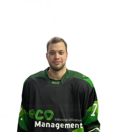 Лебедев  Степан